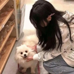 巅峰三国手游下载